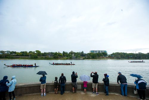 MIKAELA MACKENZIE / WINNIPEG FREE PRESS
Fans cheer on the bank of the river at the seventh annual Manitoba Dragon Boat Festival in support of the CancerCare Manitoba Foundation and the Childrens Hospital Foundation of Manitoba takes place at the Forks in Winnipeg on Saturday, Sept. 8, 2018. 
Winnipeg Free Press 2018.