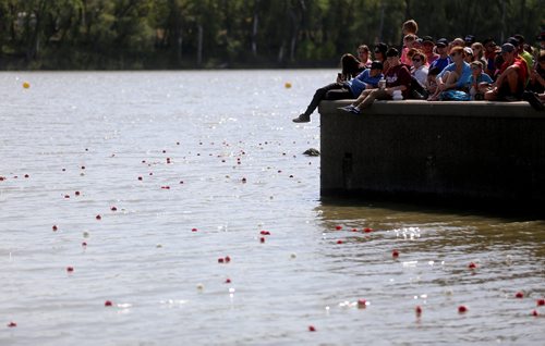 TREVOR HAGAN / WINNIPEG FREE PRESS
A flower and pebble ceremony during the CancerCare Manitoba Dragon Boat Festival honouring those who have lost their fight against cancer and those still in treatment, Sunday, September 9, 2018, 2018.