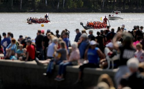 TREVOR HAGAN / WINNIPEG FREE PRESS
Teams participate in the 2018 CancerCare Manitoba Dragon Boat Festival on the Red River, Sunday, September 9, 2018, 2018.