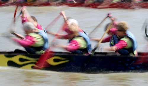 TREVOR HAGAN / WINNIPEG FREE PRESS
Teams participate in the 2018 CancerCare Manitoba Dragon Boat Festival on the Red River, Sunday, September 9, 2018, 2018.