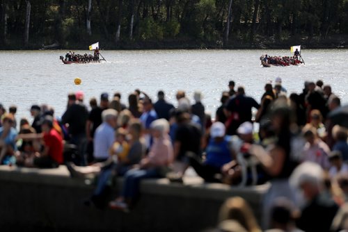 TREVOR HAGAN / WINNIPEG FREE PRESS
Teams participate in the 2018 CancerCare Manitoba Dragon Boat Festival on the Red River, Sunday, September 9, 2018, 2018.