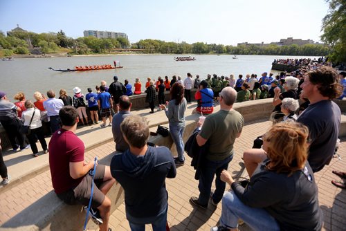 TREVOR HAGAN / WINNIPEG FREE PRESS
Teams participate in the 2018 CancerCare Manitoba Dragon Boat Festival on the Red River, Sunday, September 9, 2018, 2018.