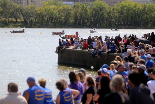 TREVOR HAGAN / WINNIPEG FREE PRESS
Teams participate in the 2018 CancerCare Manitoba Dragon Boat Festival on the Red River, Sunday, September 9, 2018, 2018.