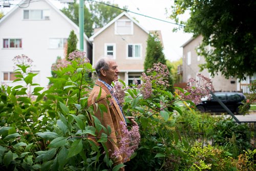 MIKAELA MACKENZIE / WINNIPEG FREE PRESS
Sel Burrows poses in the joe-pye weed his garden in Point Douglas in Winnipeg on Thursday, Sept. 13, 2018. Some inner-city Winnipeg neighbourhoods have been found to have elevated levels of lead in the soil.
Winnipeg Free Press 2018.