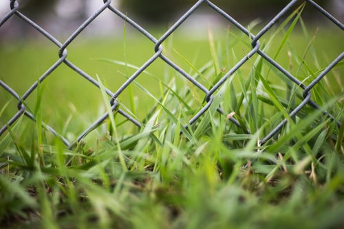 MIKAELA MACKENZIE / WINNIPEG FREE PRESS
The restricted field, which had more than 1,000 mg/g lead levels in some parts, at Weston School in Winnipeg on Thursday, Sept. 13, 2018.  
Winnipeg Free Press 2018.