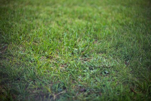 MIKAELA MACKENZIE / WINNIPEG FREE PRESS
The restricted field, which had more than 1,000 mg/g lead levels in some parts, at Weston School in Winnipeg on Thursday, Sept. 13, 2018.  
Winnipeg Free Press 2018.