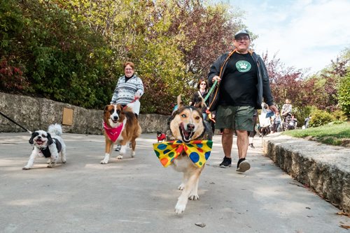 Daniel Crump / Winnipeg Free Press. D'arcy Johnston (right) and his three legged dog, Darnold, lead the seventh annual Woof Walk in support of Darcy's Animal Rescue Centre. September 14, 2018.