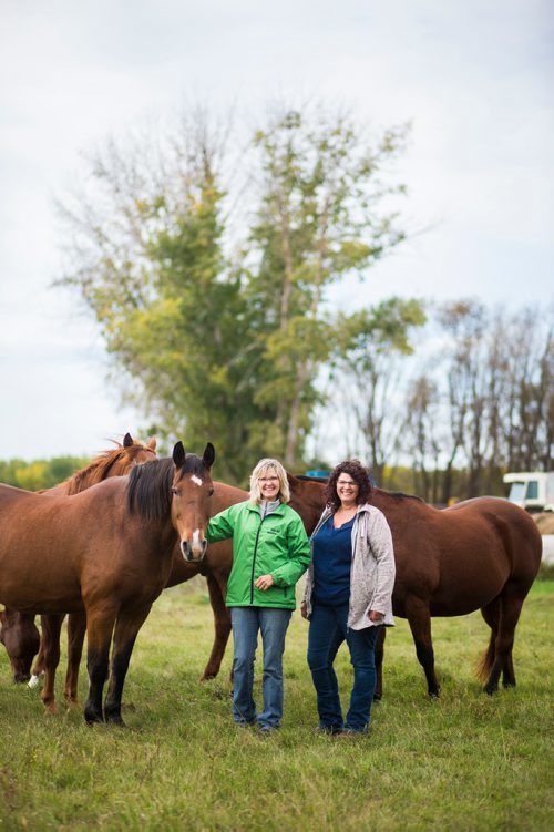 MIKAELA MACKENZIE / WINNIPEG FREE PRESS
Taralea Simpson (left) and Tracy Wood with their horses at Farm Away, just outside of Portage la Prairie, on Wednesday, Sept. 19, 2018.  
Winnipeg Free Press 2018.