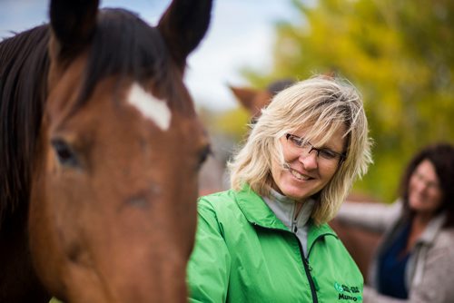 MIKAELA MACKENZIE / WINNIPEG FREE PRESS
Taralea Simpson with her horses at Farm Away, just outside of Portage la Prairie, on Wednesday, Sept. 19, 2018.  
Winnipeg Free Press 2018.