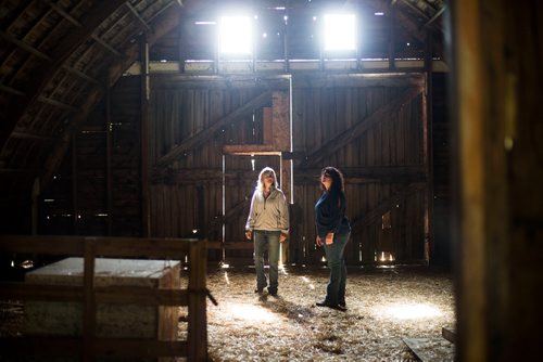 MIKAELA MACKENZIE / WINNIPEG FREE PRESS
Taralea Simpson (left) and Tracy Wood imagine how the barn would look as a music venue at Farm Away, just outside of Portage la Prairie, on Wednesday, Sept. 19, 2018.  
Winnipeg Free Press 2018.