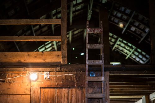 MIKAELA MACKENZIE / WINNIPEG FREE PRESS
The barn at Farm Away, just outside of Portage la Prairie, on Wednesday, Sept. 19, 2018.  
Winnipeg Free Press 2018.