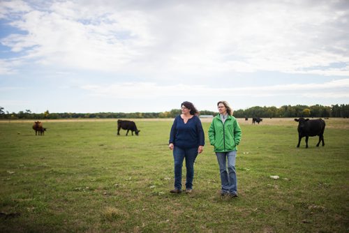 MIKAELA MACKENZIE / WINNIPEG FREE PRESS
Tracy Wood (left) and Taralea Simpson, owners of Farm Away, walk through the cattle field of their family farm just outside of Portage la Prairie on Wednesday, Sept. 19, 2018.  
Winnipeg Free Press 2018.