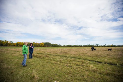 MIKAELA MACKENZIE / WINNIPEG FREE PRESS
Taralea Simpson (left) and Tracy Wood, owners of Farm Away, walk through the cattle field of their family farm just outside of Portage la Prairie on Wednesday, Sept. 19, 2018.
Winnipeg Free Press 2018.