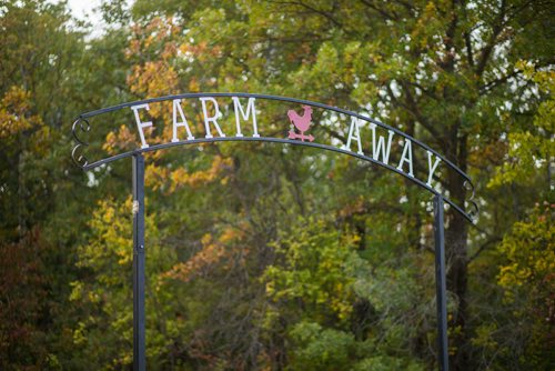 MIKAELA MACKENZIE / WINNIPEG FREE PRESS
The sign at the front driveway at Farm Away, just outside of Portage la Prairie, on Wednesday, Sept. 19, 2018.  
Winnipeg Free Press 2018.