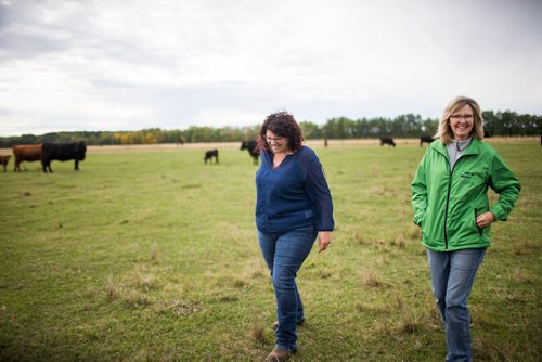 MIKAELA MACKENZIE / WINNIPEG FREE PRESS
Tracy Wood (left) and Taralea Simpson, owners of Farm Away, walk through the cattle field of their family farm just outside of Portage la Prairie on Wednesday, Sept. 19, 2018.  
Winnipeg Free Press 2018.