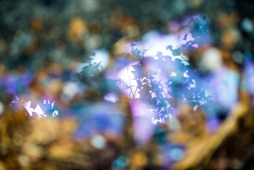 MIKAELA MACKENZIE / WINNIPEG FREE PRESS
Shattered glass from a broken window at the the 284 Cathedral build site in Winnipeg on Friday, Sept. 21, 2018.  Winnipeg Free Press 2018.