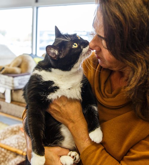 MIKE DEAL / WINNIPEG FREE PRESS
Lulu the black-and-white cat gives Carla Martinelli-Irvine some snuggles and kisses and will be celebrating her fourth birthday on September 28th. She was found abandoned outside and was turned over to Winnipeg Pet Rescue Shelter - Winnipeg's first no-kill shelter..
180927 - Thursday, September 27, 2018.