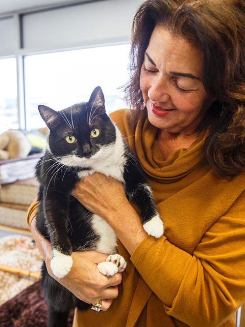 MIKE DEAL / WINNIPEG FREE PRESS
Lulu the black-and-white cat gives Carla Martinelli-Irvine some snuggles and kisses and will be celebrating her fourth birthday on September 28th. She was found abandoned outside and was turned over to Winnipeg Pet Rescue Shelter - Winnipeg's first no-kill shelter..
180927 - Thursday, September 27, 2018.