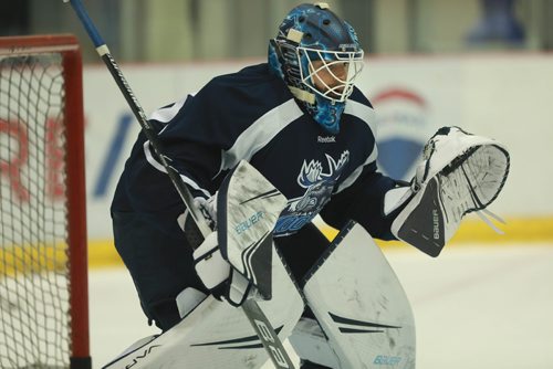 RUTH BONNEVILLE / WINNIPEG FREE PRESS

Moose Goalie, Ken Appleby #35, during practice at MTSBell Iceplex Friday.


Sept 27, 2018