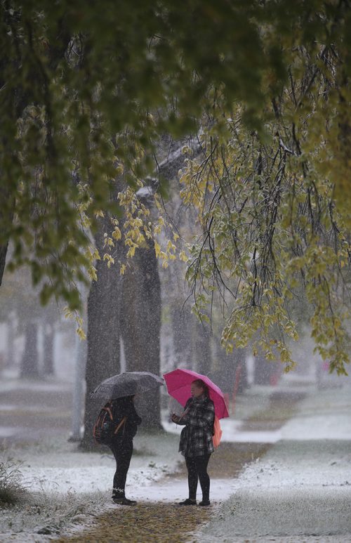 TREVOR HAGAN / WINNIPEG FREE PRESS
Two people walk along Clifton Street during a snowfall, Wednesday, October 3, 2018.