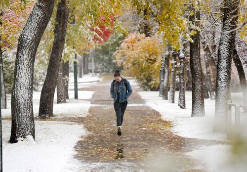 RUTH BONNEVILLE / WINNIPEG FREE PRESS

University of Manitoba student, Brigit Harvey, braces herself against the wind and sleet as she walks down pathway near St. John's College amidst blowing snow at the U of M campus Wednesday.  

Standup photo 

October 3rd 2018
