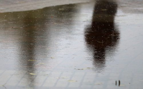 TREVOR HAGAN / WINNIPEG FREE PRESS
Shadow of a man walking past a rainy puddle, Wednesday, October 3, 2018.