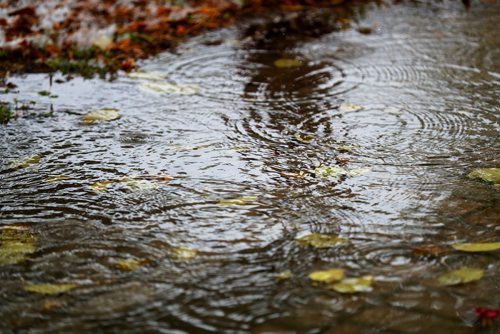 TREVOR HAGAN / WINNIPEG FREE PRESS
Shadow of a man walking past a rainy puddle, Wednesday, October 3, 2018.