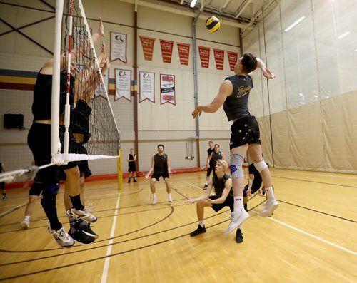 TREVOR HAGAN / WINNIPEG FREE PRESS
Manitoba Bisons' Ben Carleton (4) during volleyball practice, Thursday, October 4, 2018.