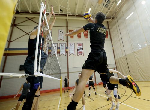 TREVOR HAGAN / WINNIPEG FREE PRESS
Manitoba Bisons' Zach Janzen (17) during volleyball practice, Thursday, October 4, 2018.