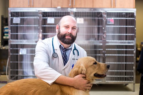 MIKAELA MACKENZIE / WINNIPEG FREE PRESS
Dr. Jonas Watson, local vet and president of the Manitoba Veterinary Medical Association, poses with Lou the golden retriever in Winnipeg on Friday, Oct. 5, 2018. Although there is a danger of accidental overdoses of cannabis with pets, there is also potential for therapeutic use. Winnipeg Free Press 2018.