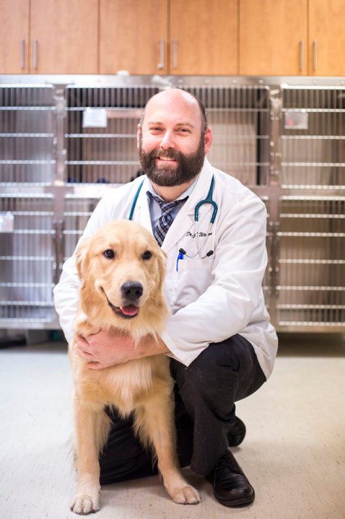 MIKAELA MACKENZIE / WINNIPEG FREE PRESS
Dr. Jonas Watson, local vet and president of the Manitoba Veterinary Medical Association, poses with Lou the golden retriever in Winnipeg on Friday, Oct. 5, 2018. Although there is a danger of accidental overdoses of cannabis with pets, there is also potential for therapeutic use. Winnipeg Free Press 2018.