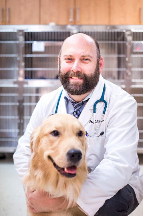 MIKAELA MACKENZIE / WINNIPEG FREE PRESS
Dr. Jonas Watson, local vet and president of the Manitoba Veterinary Medical Association, poses with Lou the golden retriever in Winnipeg on Friday, Oct. 5, 2018. Although there is a danger of accidental overdoses of cannabis with pets, there is also potential for therapeutic use. Winnipeg Free Press 2018.