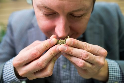 MIKAELA MACKENZIE / WINNIPEG FREE PRESS
Joel Carleton, Manitoba's first cannabis sommelier, demonstrates his techniques at Cannafam in Winnipeg on Friday, Oct. 5, 2018.
Winnipeg Free Press 2018.