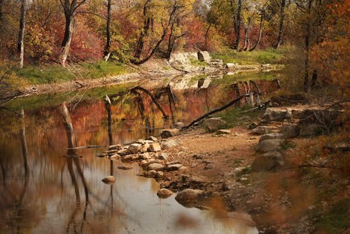 RUTH BONNEVILLE / WINNIPEG FREE PRESS

Standup photo 

Fall colours reflect brilliantly on pond at Little Mountain Park Saturday.


October 6th, 2018
