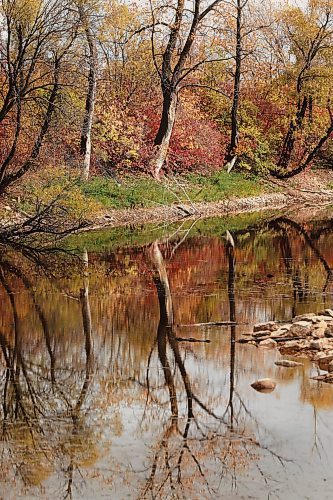 RUTH BONNEVILLE / WINNIPEG FREE PRESS

Standup photo 

Fall colours reflect brilliantly on pond at Little Mountain Park Saturday.


October 6th, 2018