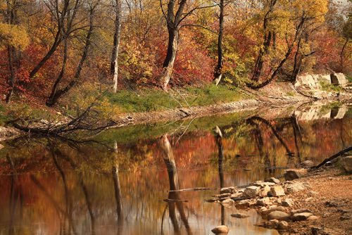 RUTH BONNEVILLE / WINNIPEG FREE PRESS

Standup photo 

Fall colours reflect brilliantly on pond at Little Mountain Park Saturday.


October 6th, 2018