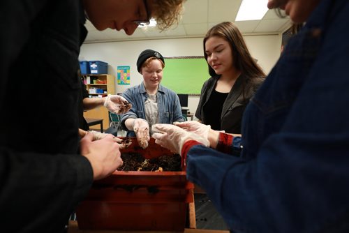 RUTH BONNEVILLE / WINNIPEG FREE PRESS

Green Page

Nelson McIntyre high school teacher, Michelle Naomi, heads up the schools green team and has a vermicompost box in her classroom which she gets the kids involved in maintaining to compost waste.


Logan Wiehe (left) and Sky McLean, part of the green team, move the worms and fertilizer around in compost box with other green team students Tuesday.  

The story is on vermicomposting which is essentially indoor composting using earth worms that are put in the compost bin with the food that is being composted and break the food down, and then the worm's waste is used as fertilizer. 

See story. 

October 9th, 2018