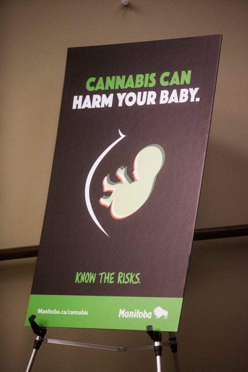 MIKAELA MACKENZIE / WINNIPEG FREE PRESS
Government marijuana safety campaign posters are presented to the media at the Manitoba Legislative Building in Winnipeg on Wednesday, Oct. 10, 2018.
Winnipeg Free Press 2018.