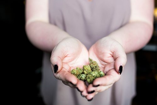 MIKAELA MACKENZIE / WINNIPEG FREE PRESS
A cannabis dealer shows off her product in Winnipeg on Saturday, Oct. 13, 2018. 
Winnipeg Free Press 2018.