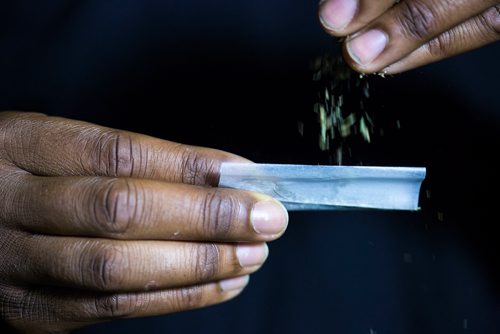 MIKAELA MACKENZIE / WINNIPEG FREE PRESS
Dillin Morgan teaches Jenn Zoratti how to roll a joint (using catnip as a substitute for cannabis) in Winnipeg on Monday, Oct. 15, 2018. 
Winnipeg Free Press 2018.