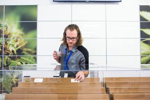 MIKAELA MACKENZIE / WINNIPEG FREE PRESS
Donnie Smith, assistant manager, puts cannabis on display at the sensory bar at the Delta 9 cannabis store in Winnipeg on Tuesday, Oct. 16, 2018. 
Winnipeg Free Press 2018.