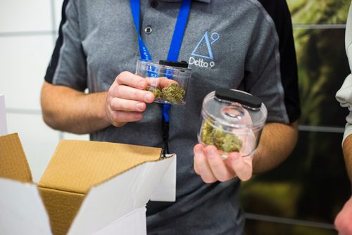 MIKAELA MACKENZIE / WINNIPEG FREE PRESS
Donnie Smith, assistant manager, puts cannabis on display at the sensory bar at the Delta 9 cannabis store in Winnipeg on Tuesday, Oct. 16, 2018. 
Winnipeg Free Press 2018.