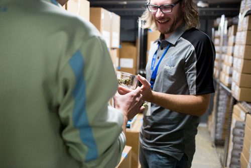 MIKAELA MACKENZIE / WINNIPEG FREE PRESS
Donnie Smith, assistant manager (right), puts cannabis into jars with store manager Chad LaPointe for the sensory bar at the Delta 9 cannabis store in Winnipeg on Tuesday, Oct. 16, 2018. 
Winnipeg Free Press 2018.