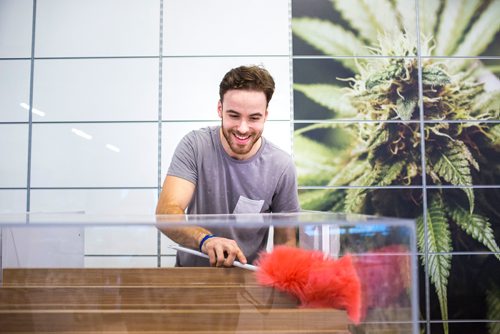 MIKAELA MACKENZIE / WINNIPEG FREE PRESS
Nathan McMullin cleans the sensory bar display case as Delta 9 cannabis store prepares for opening day in Winnipeg on Tuesday, Oct. 16, 2018. 
Winnipeg Free Press 2018.