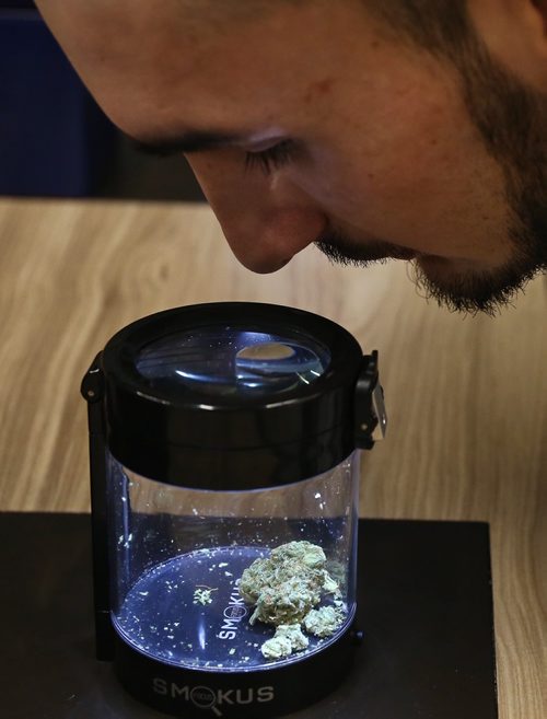 MIKE DEAL / WINNIPEG FREE PRESS
Employee Thomas Sanderson a Tweed Tender, looks at a sample of cannabis in a special viewing jar at the Tweed on Regent. 
181017 - Wednesday, October 17, 2018