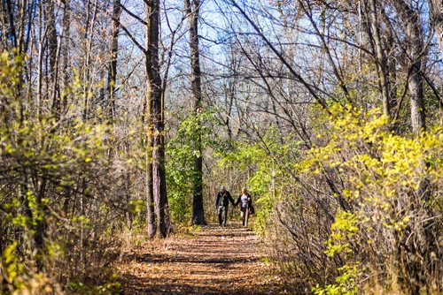 MIKAELA MACKENZIE / WINNIPEG FREE PRESS
Mike Sambork (left) and Anna Palffy enjoy the beautiful weather in St. Vital Park in Winnipeg on Thursday, Oct. 18, 2018. 
Winnipeg Free Press 2018.