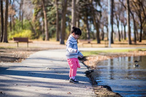 MIKAELA MACKENZIE / WINNIPEG FREE PRESS
Jihan Quan, three, chases geese in St. Vital Park in Winnipeg on Thursday, Oct. 18, 2018. 
Winnipeg Free Press 2018.