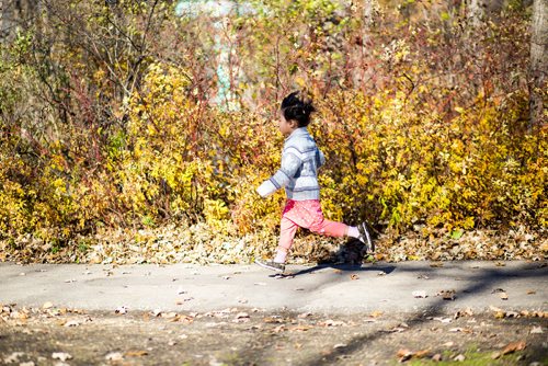 MIKAELA MACKENZIE / WINNIPEG FREE PRESS
Jihan Quan, three, chases geese in St. Vital Park in Winnipeg on Thursday, Oct. 18, 2018. 
Winnipeg Free Press 2018.