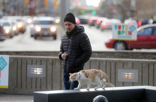 TREVOR HAGAN / WINNIPEG FREE PRESS
Corey Quintaine, walking Sam, at Open Fest at Portage and Main, Saturday, October 20, 2018.