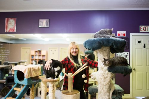 MIKAELA MACKENZIE / WINNIPEG FREE PRESS
Jennifer Laferriere at her cat cafe, Miss J. La's Fur Babies Cat Cafe and Adoption Centre, in Winnipeg on Thursday, Oct. 25, 2018. 
Winnipeg Free Press 2018.